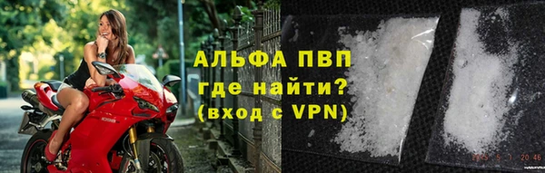 spice Вяземский