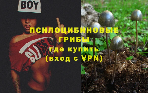 jwh Вязьма