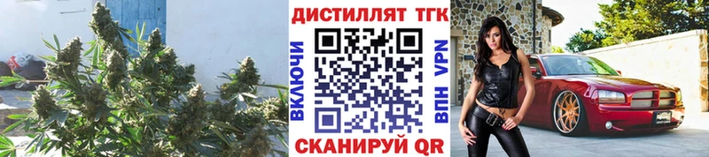 Дистиллят ТГК гашишное масло  где найти наркотики  Орехово-Зуево 